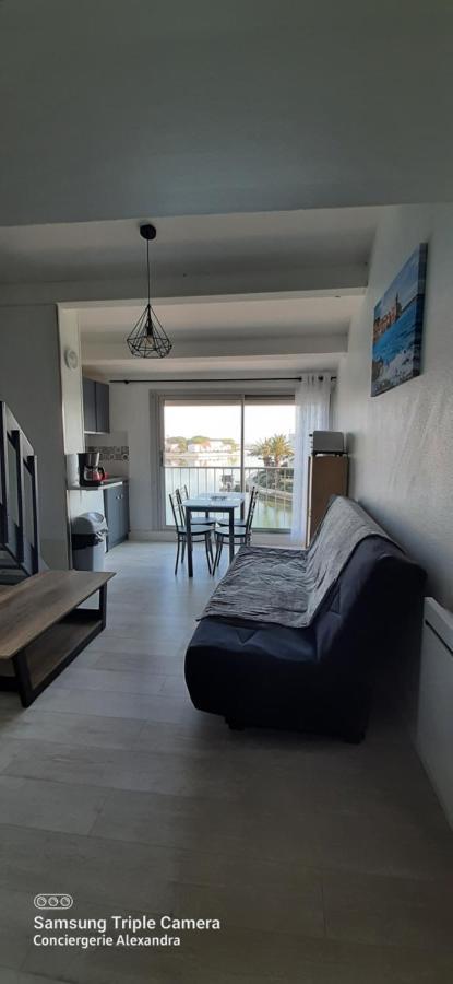 Vue Magique Sur La Marina - Appart En Duplex, Les Pieds Dans L'Eau Saint-Cyprien  Eksteriør billede