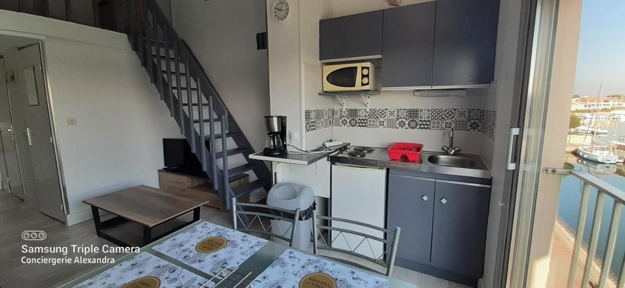 Vue Magique Sur La Marina - Appart En Duplex, Les Pieds Dans L'Eau Saint-Cyprien  Eksteriør billede